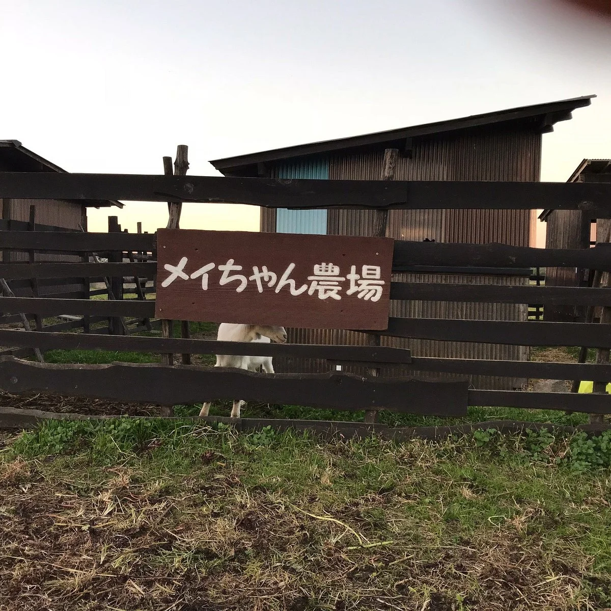 Meichan Farm