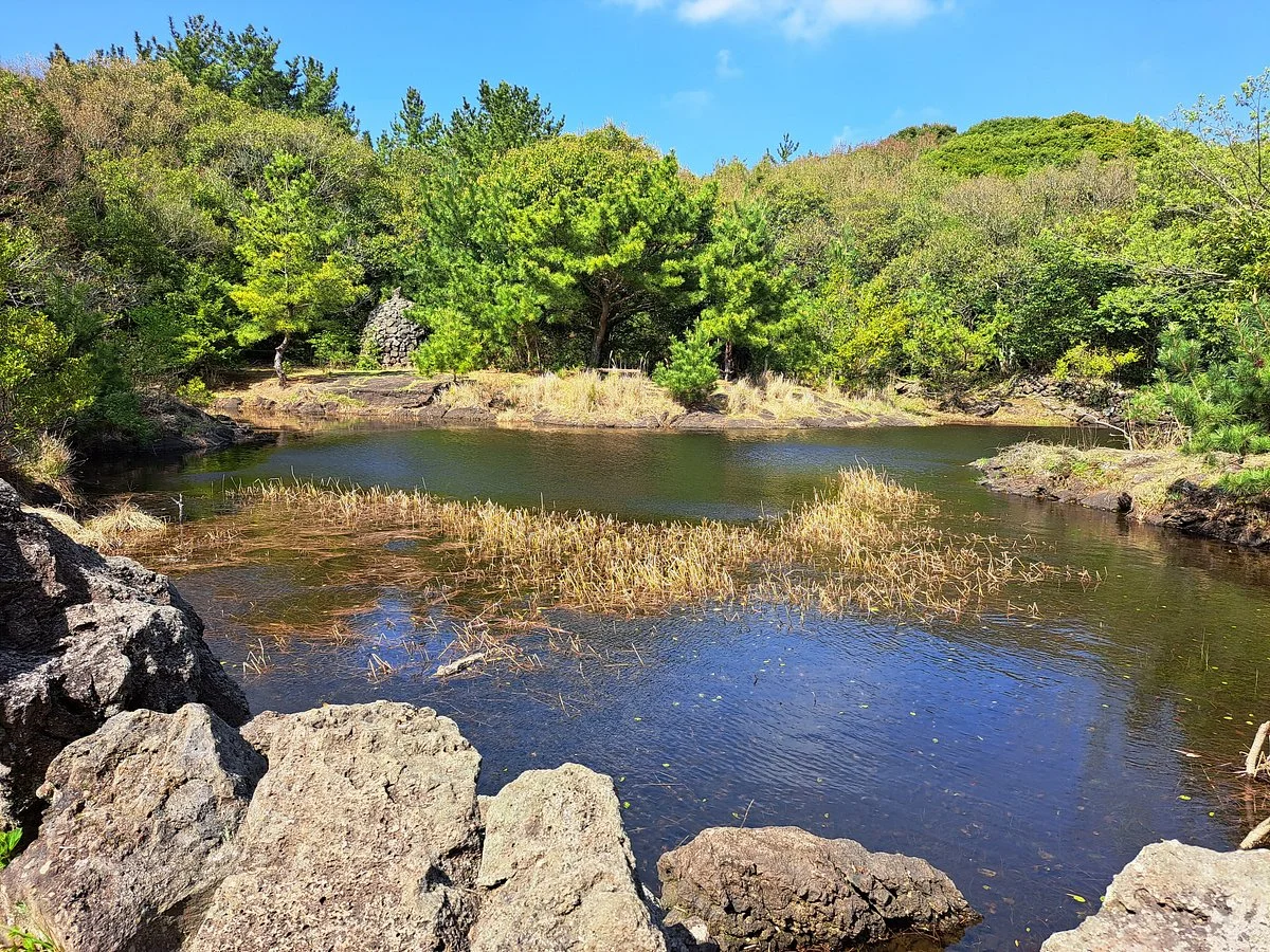 Dongbaek Dongsan Wetland Center