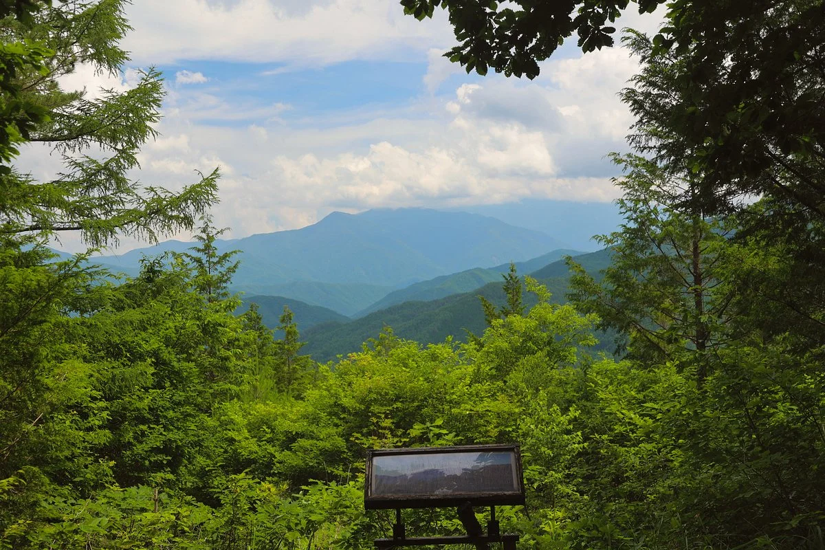 Mizukisawa Forest