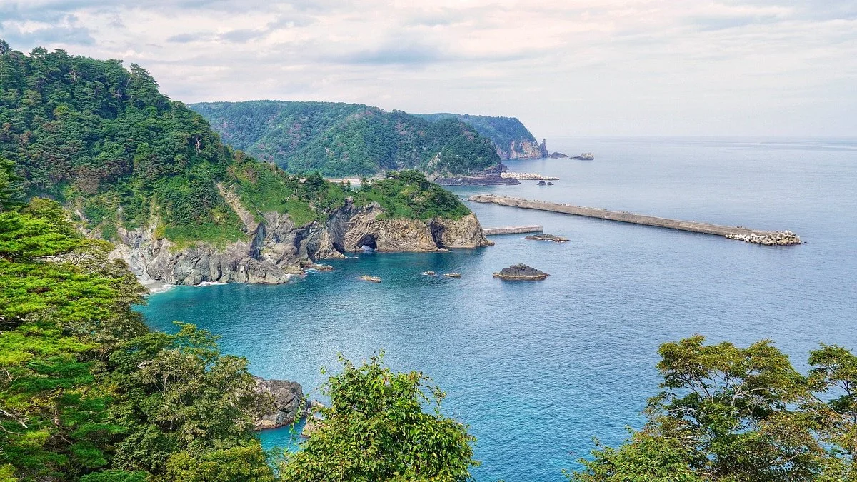Kumanohana Observation Platform