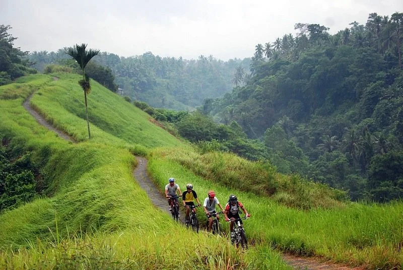 Bali Eco Tours