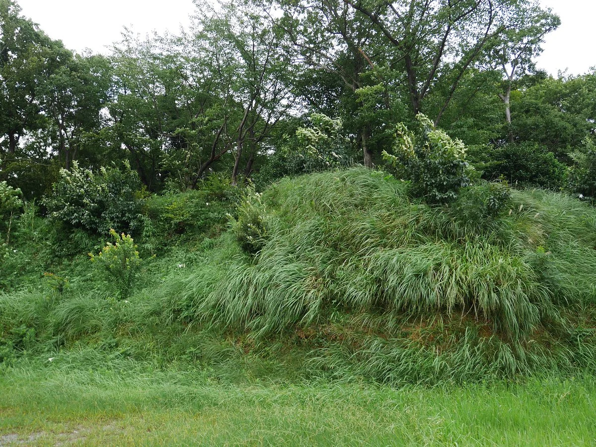 Ishizuka Yama Mound