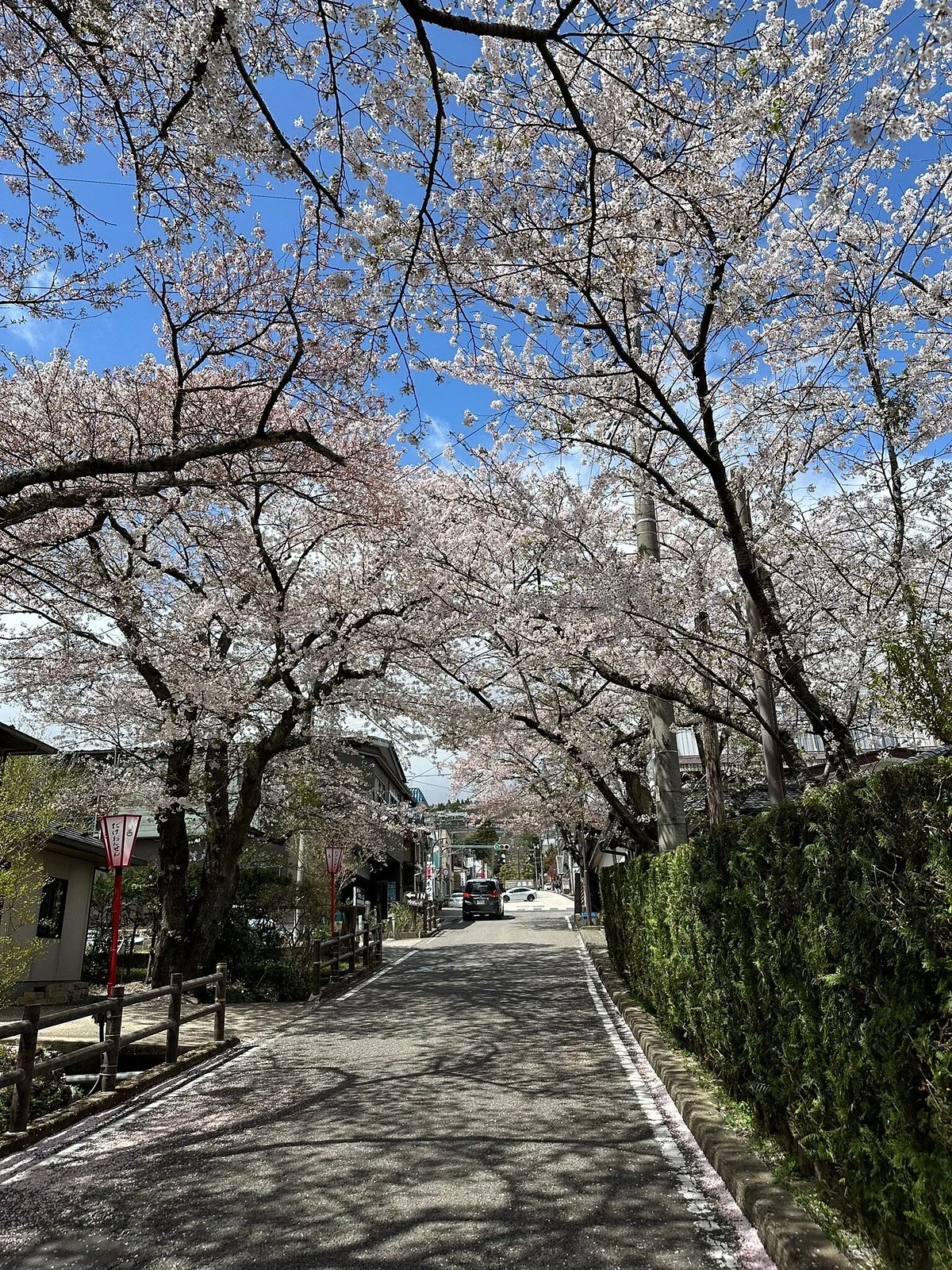 Sakurazaka