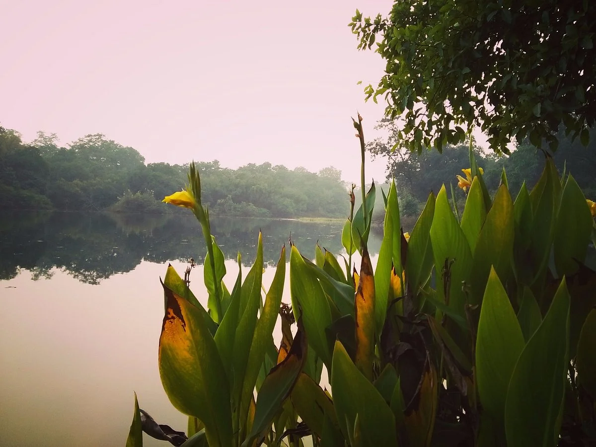 Hazaribagh Wildlife Sanctuary