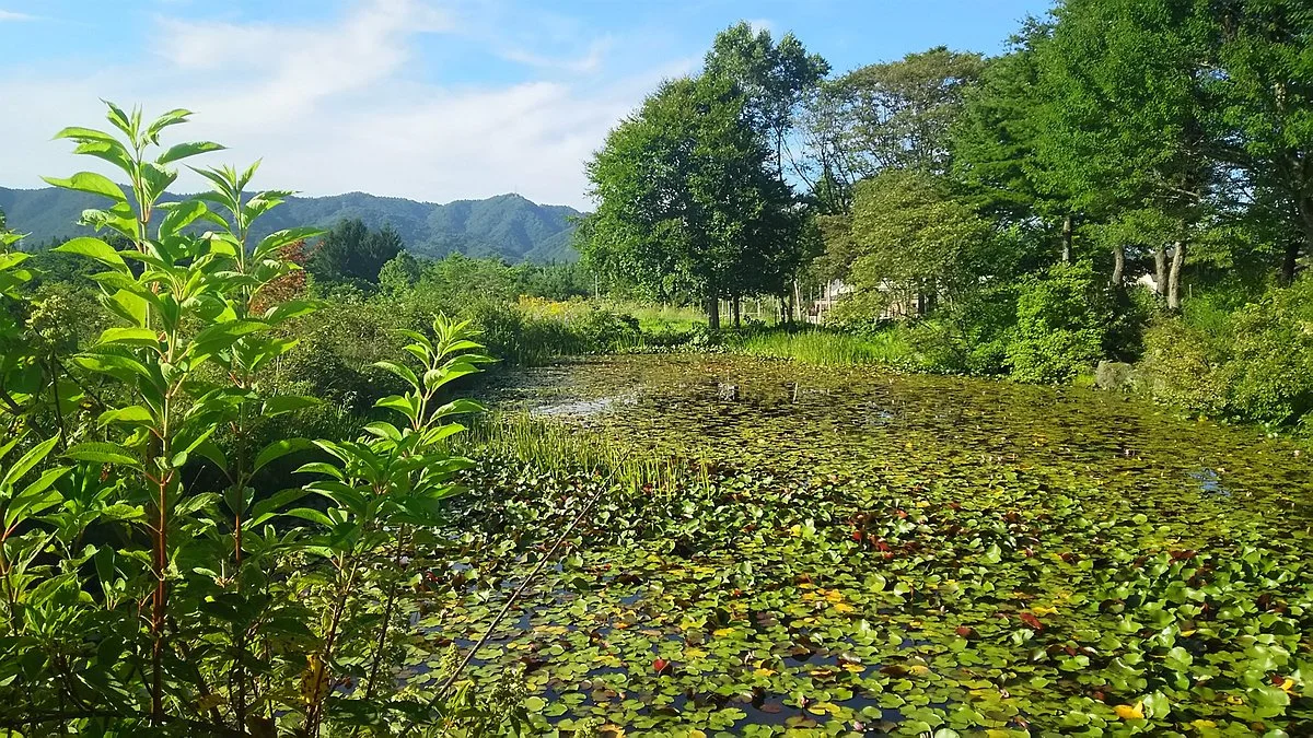 Hiruganoshitsugen Botanical Garden