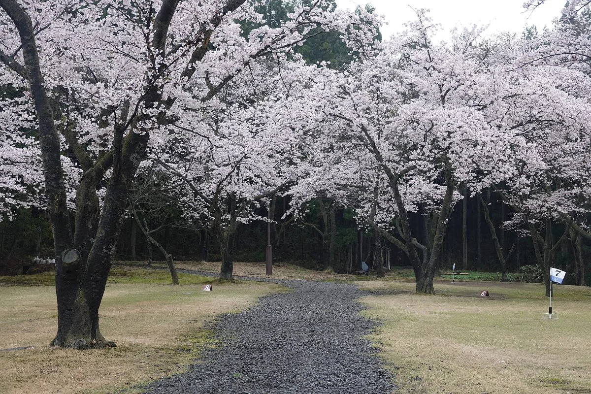 Kyowa Michi-no-Eki