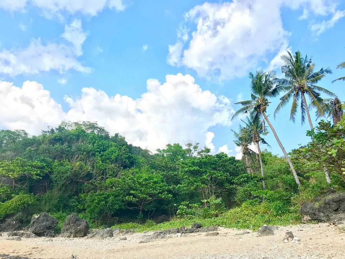 Surip Beach