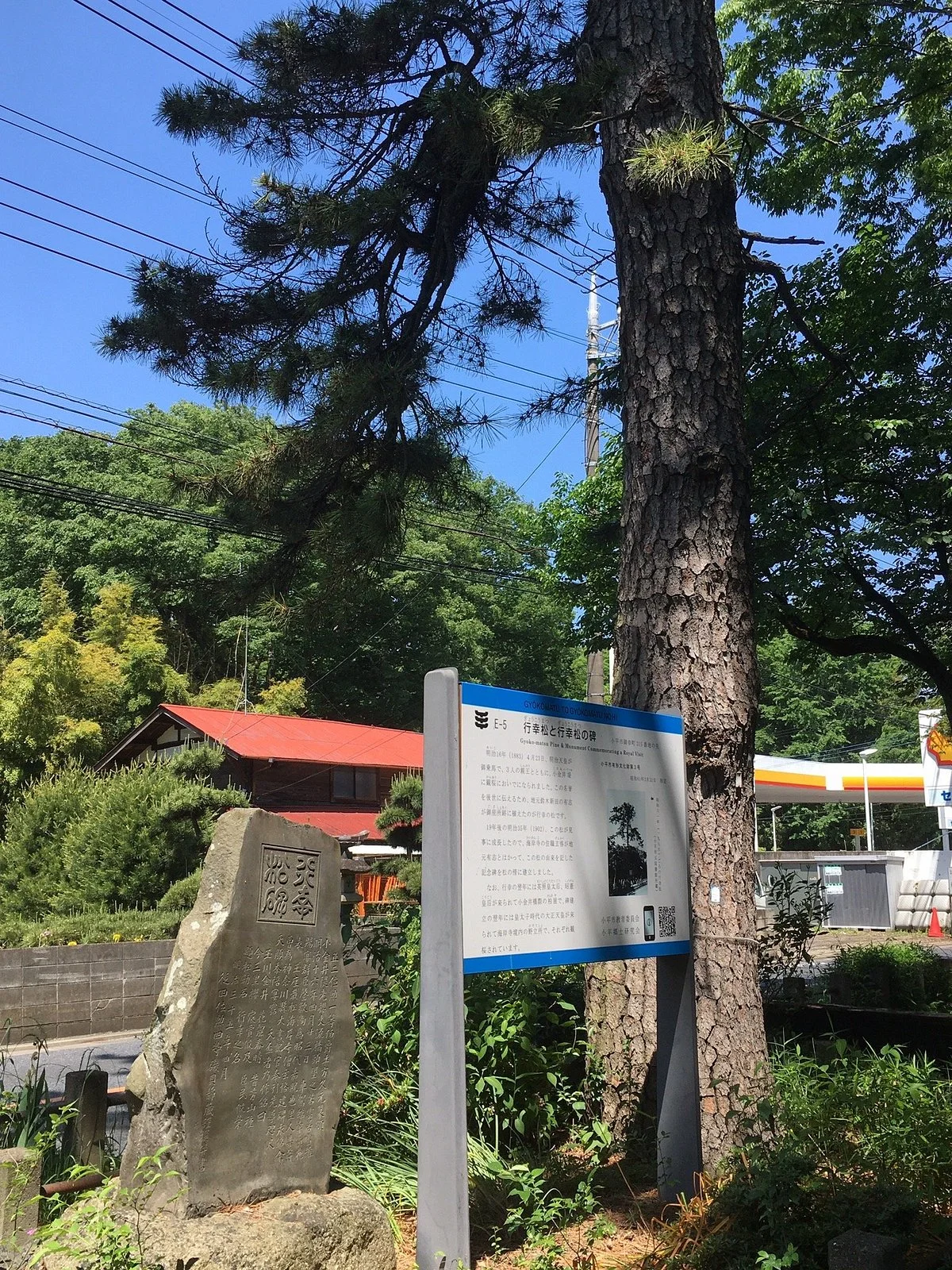 Gyoko Pine Tree and Its Monument