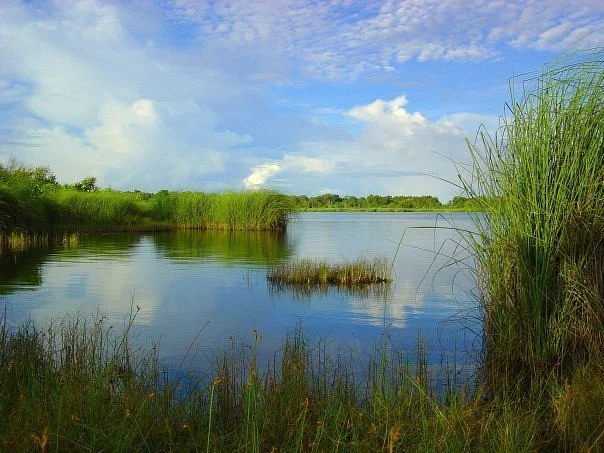 Dhadimagi Kilhi ( Lake)