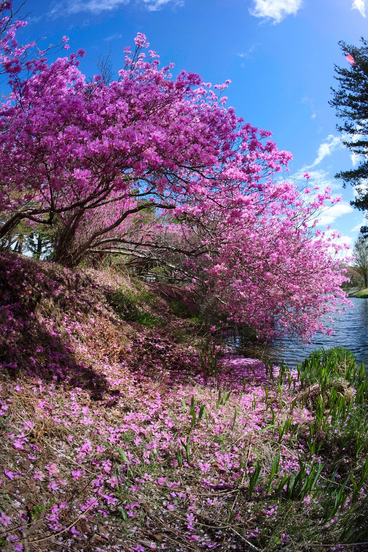 Umamizuka Park