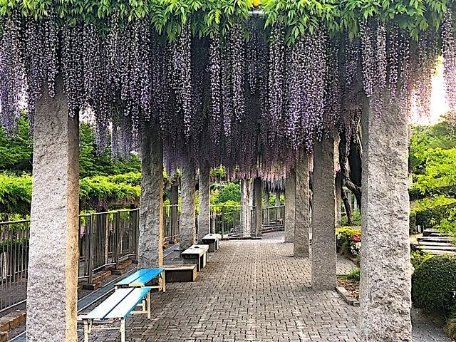 Koshinyama Sogo Park