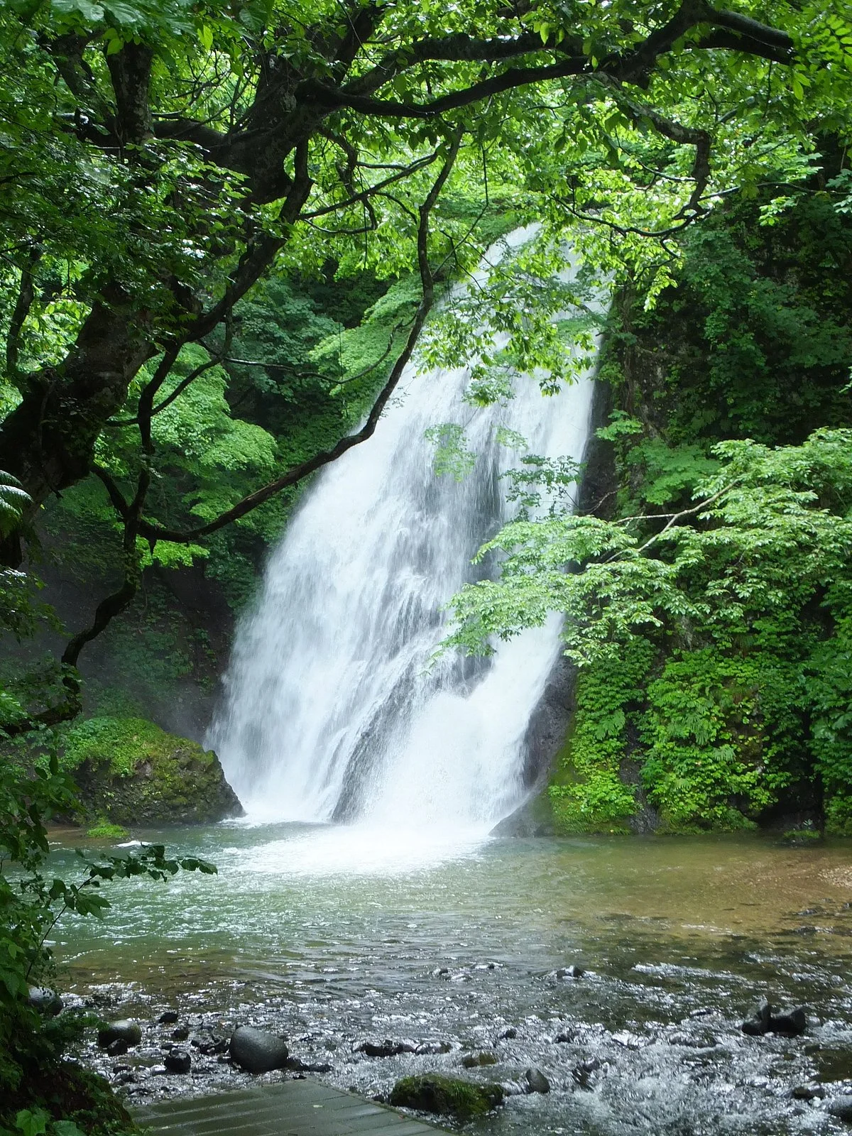 Saga no Taki Fall