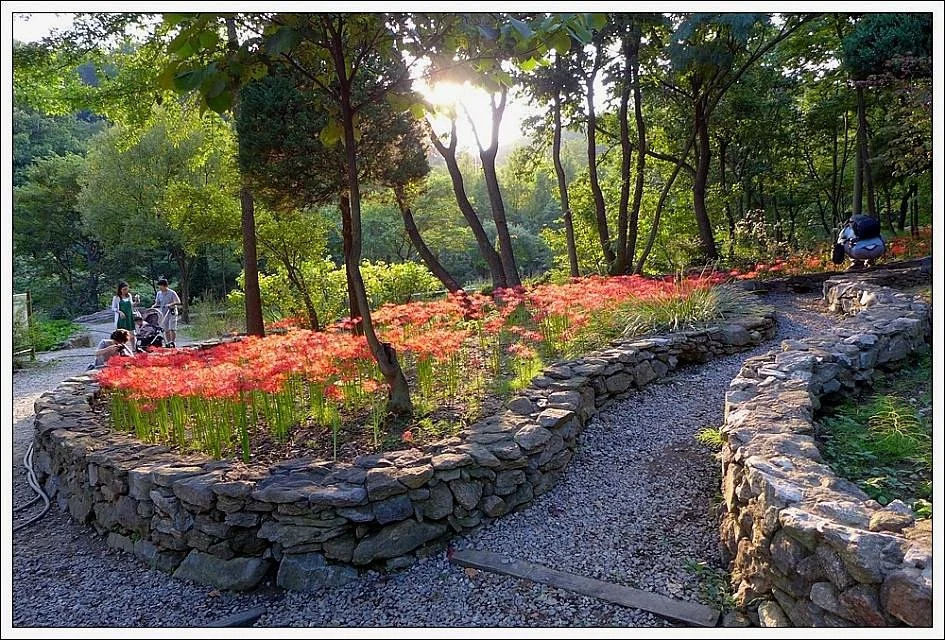 Singu Daehak Arboretum