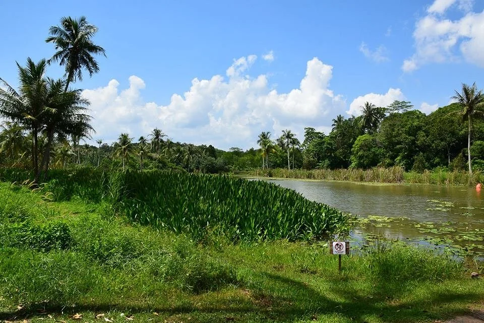 Ketam Mountain Bike Park