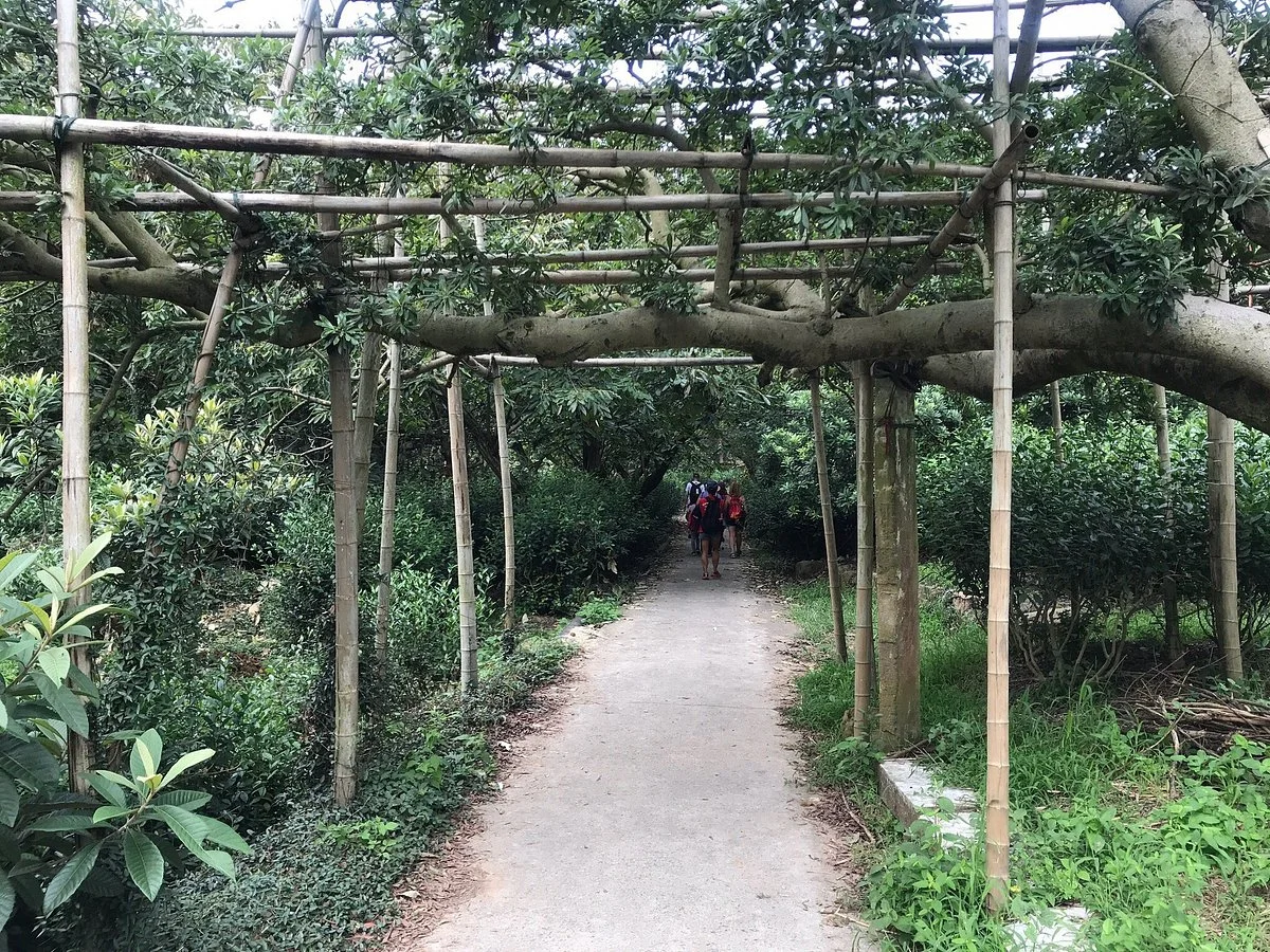 Dongshan Scenic Resort