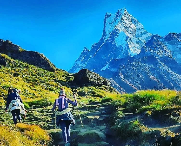 Mardi Himal