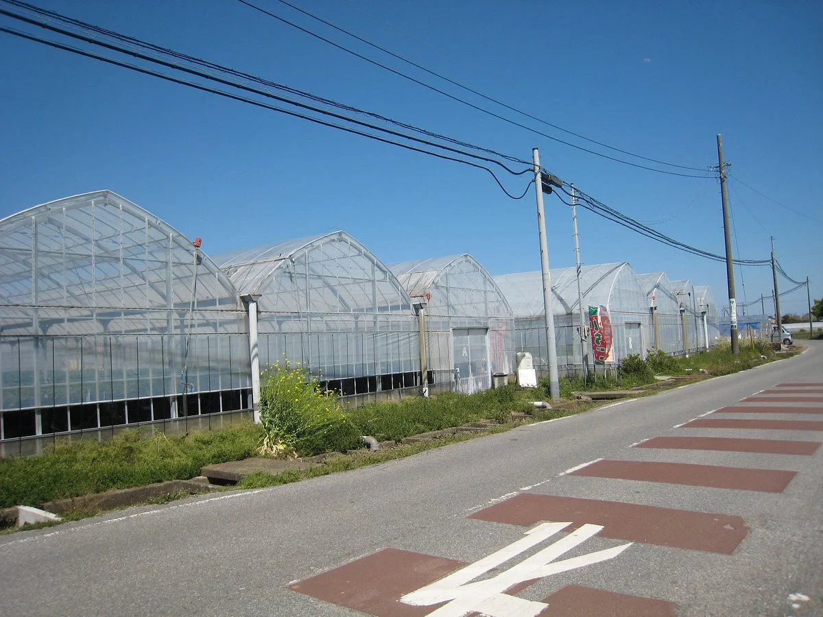Ichinomiya Tourism Strawberry Union
