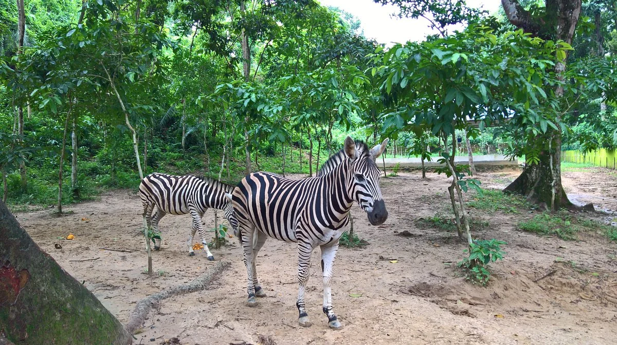 Tilagor Eco Park