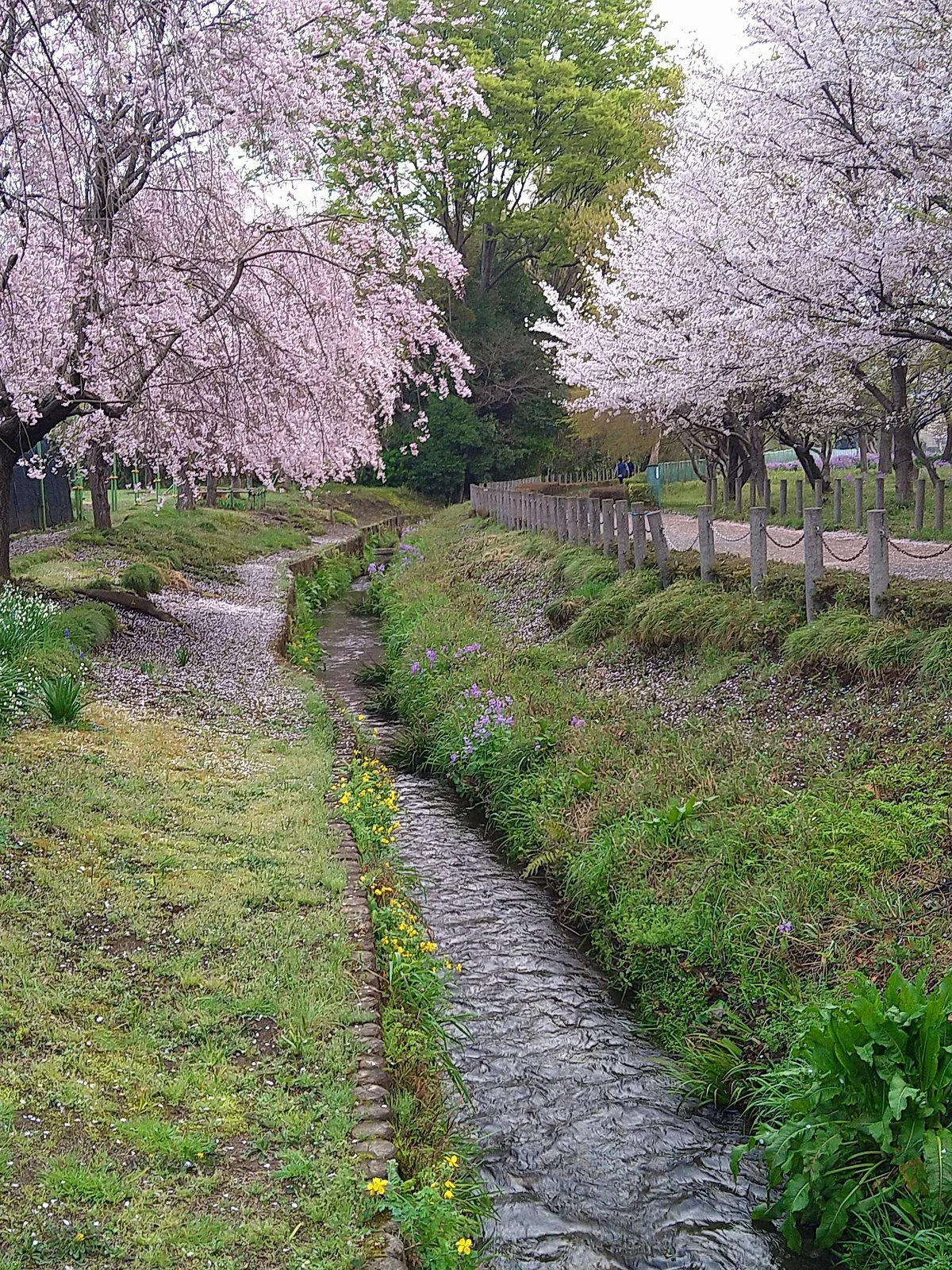 Nobitome Ryokuchi Sogo Park (Yacho no Mori)