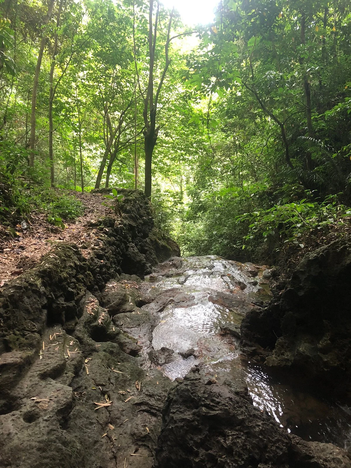 Daliran Cave