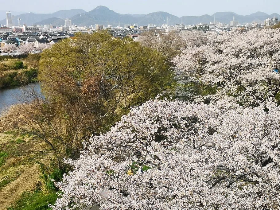 Michi-no-Eki Yanaizu