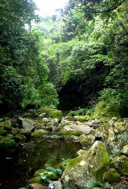 Mt Banahaw