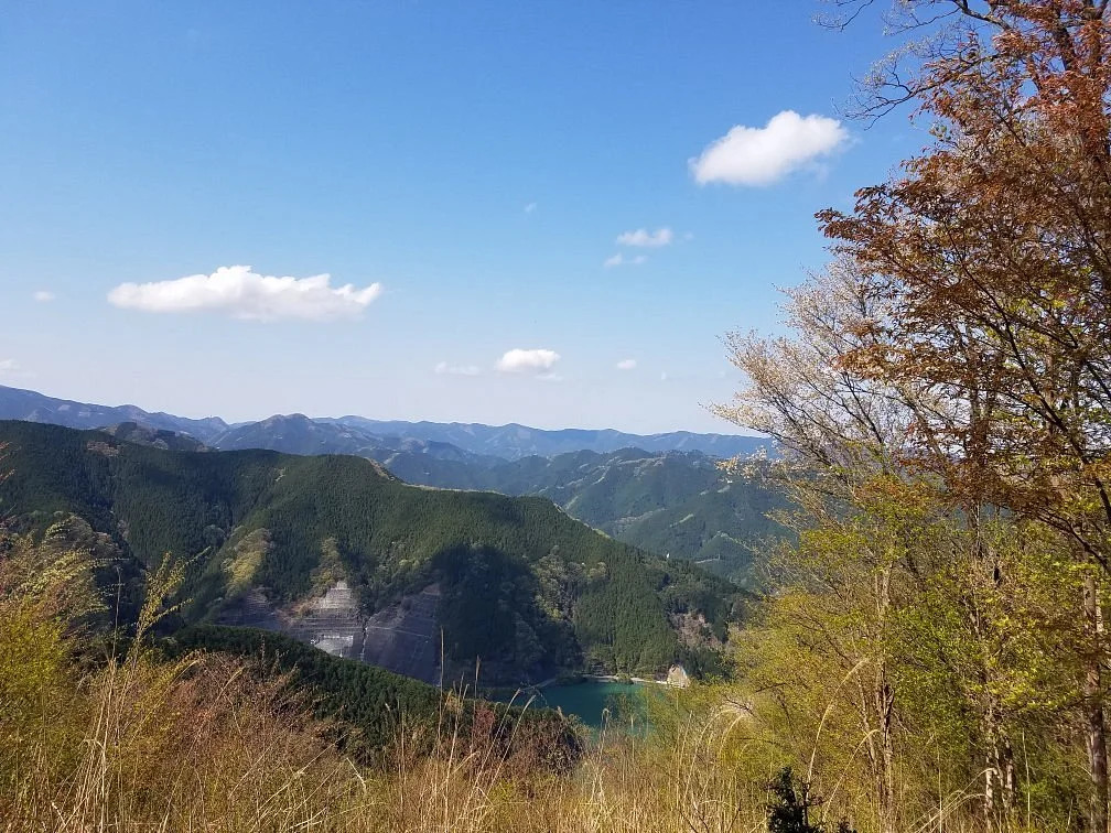 Mount Bonoore