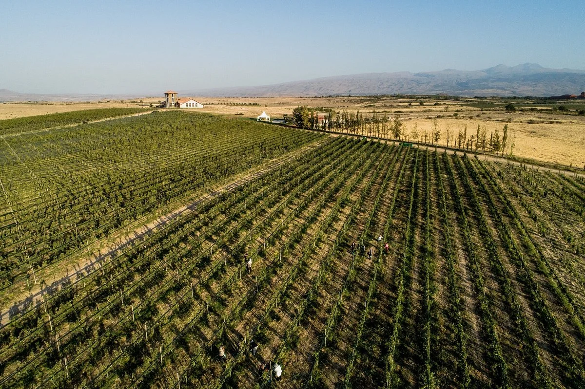 Van Ardi Winery