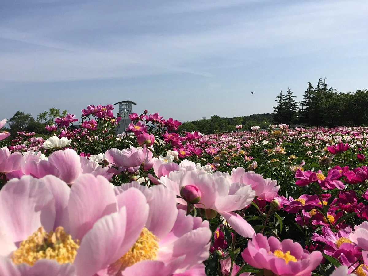 Atagoyama Park