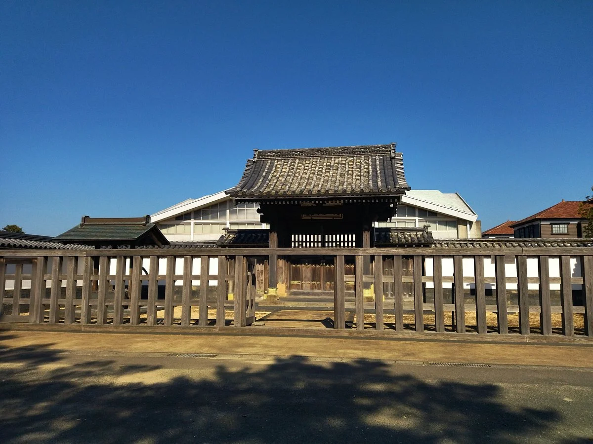Meirinkan Ikonammon
