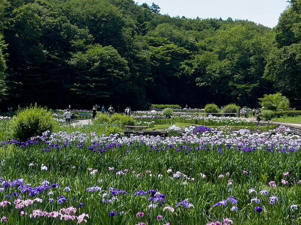 Fukiage Shobu Park