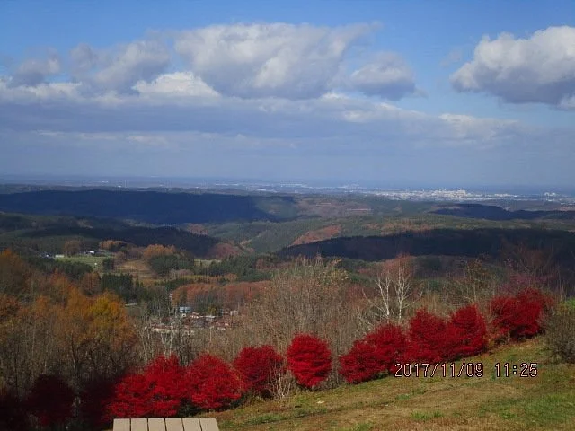 Shimin no Mori Narawazudake