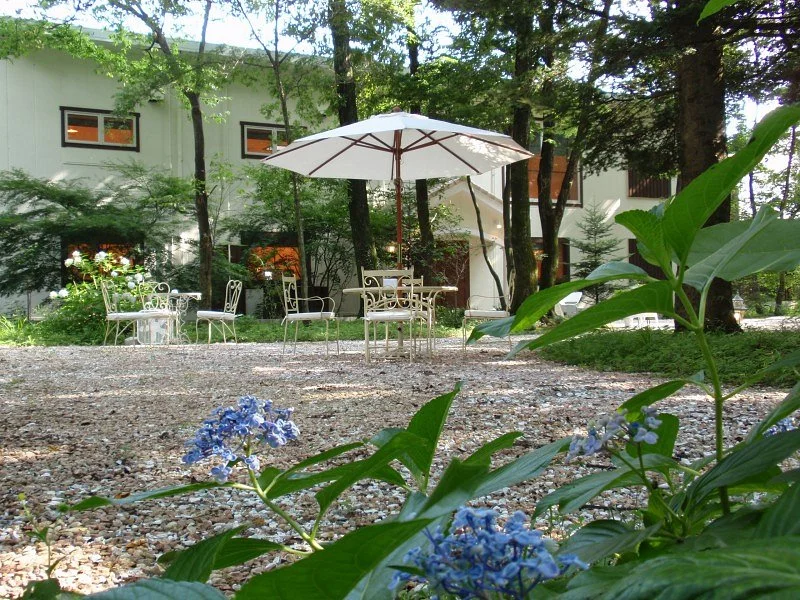 Healing Museum