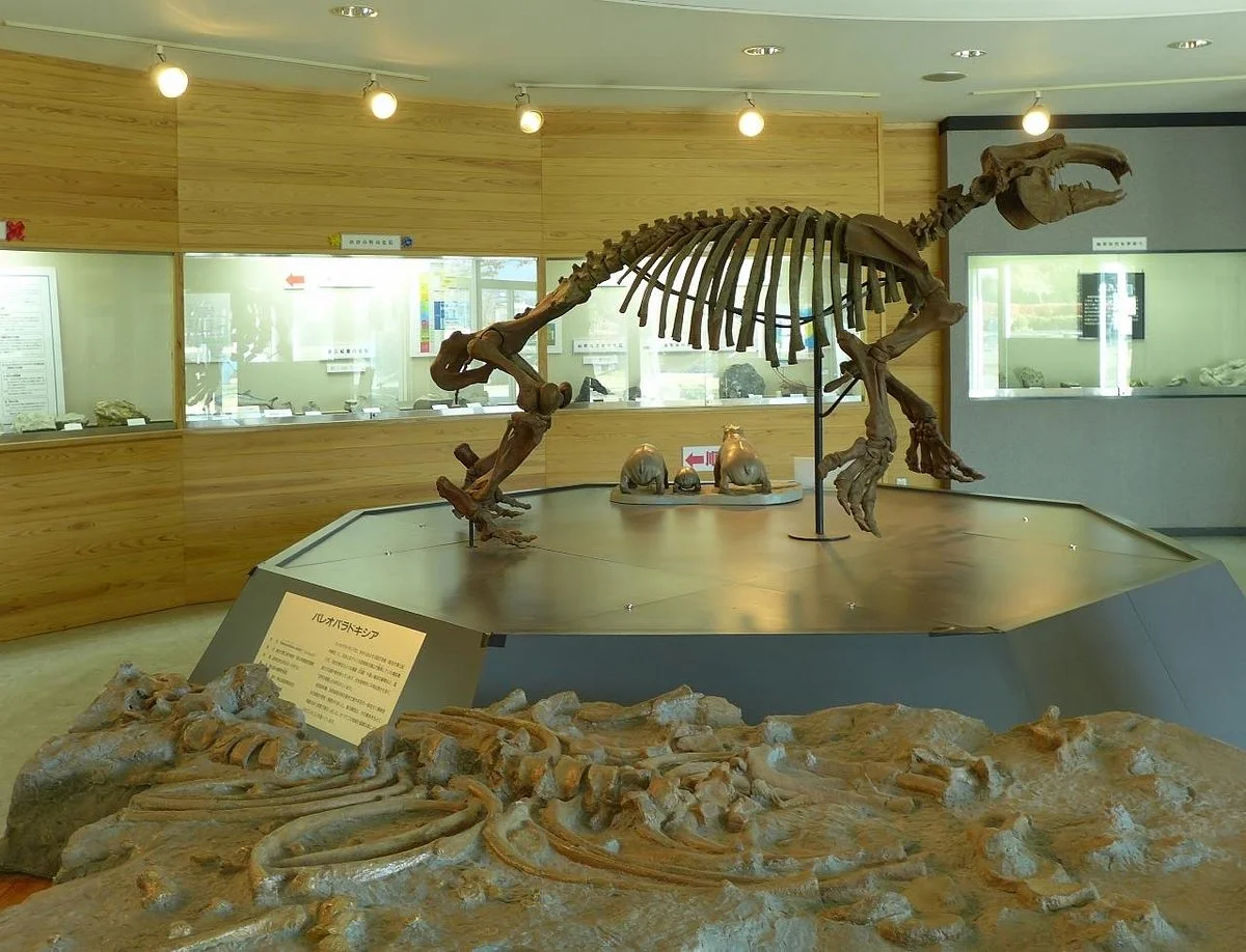 Ogano Fossil Museum
