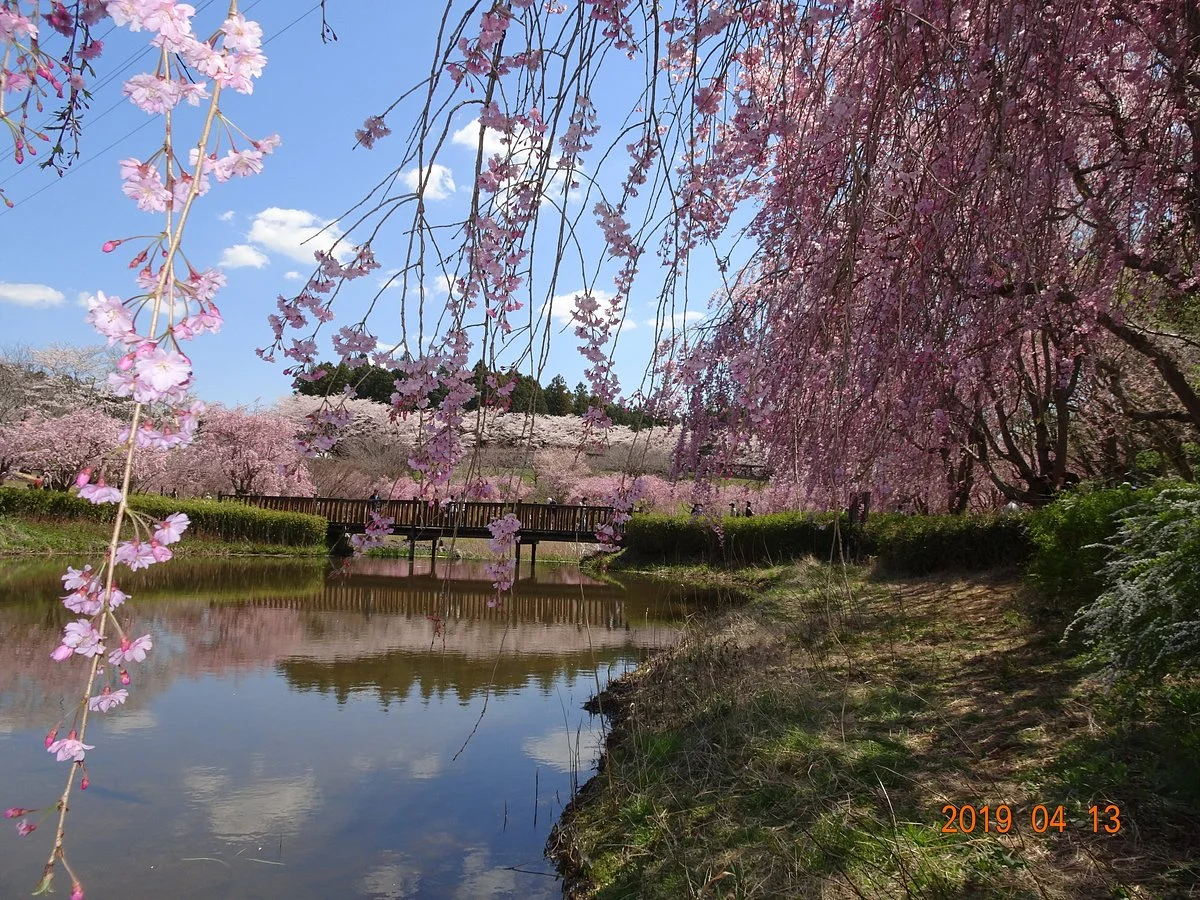 Hitachi Fudoki no Oka