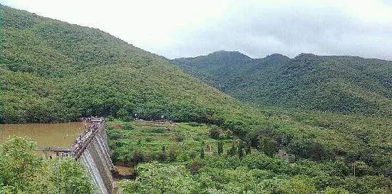 Wellington Dam