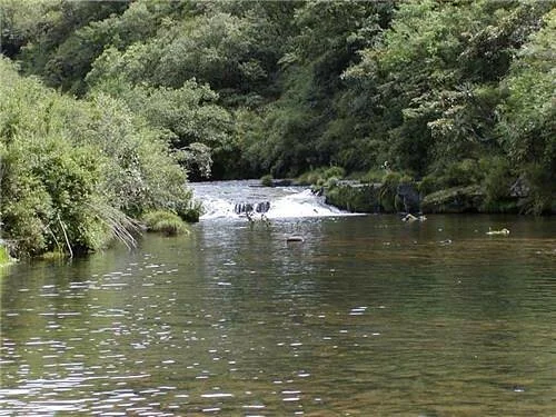 Doyang River