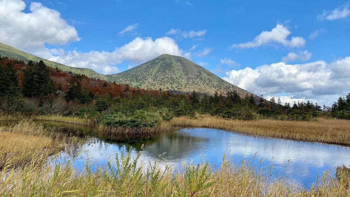 Suiren Pond
