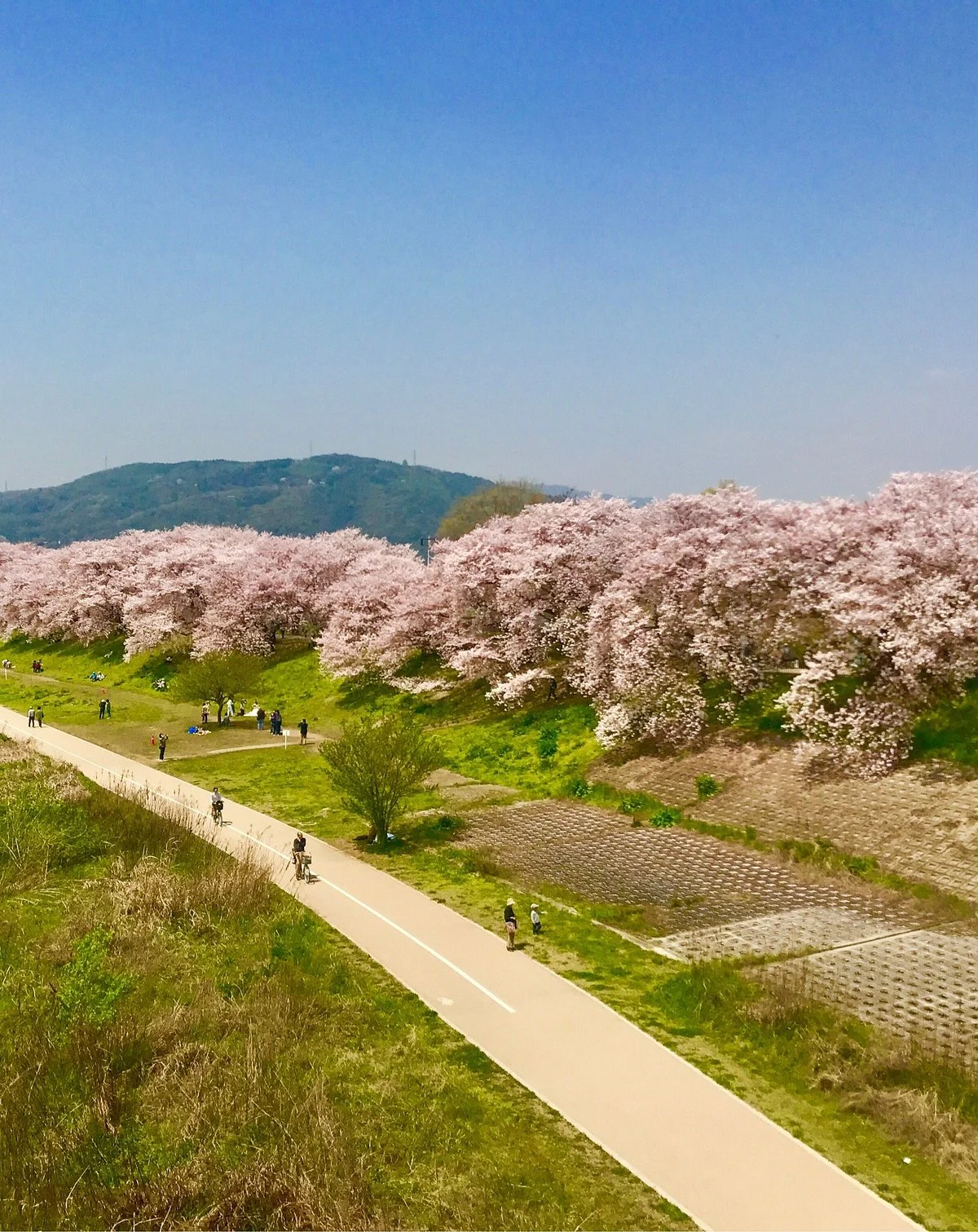 Yodo River Park Sewaritei District