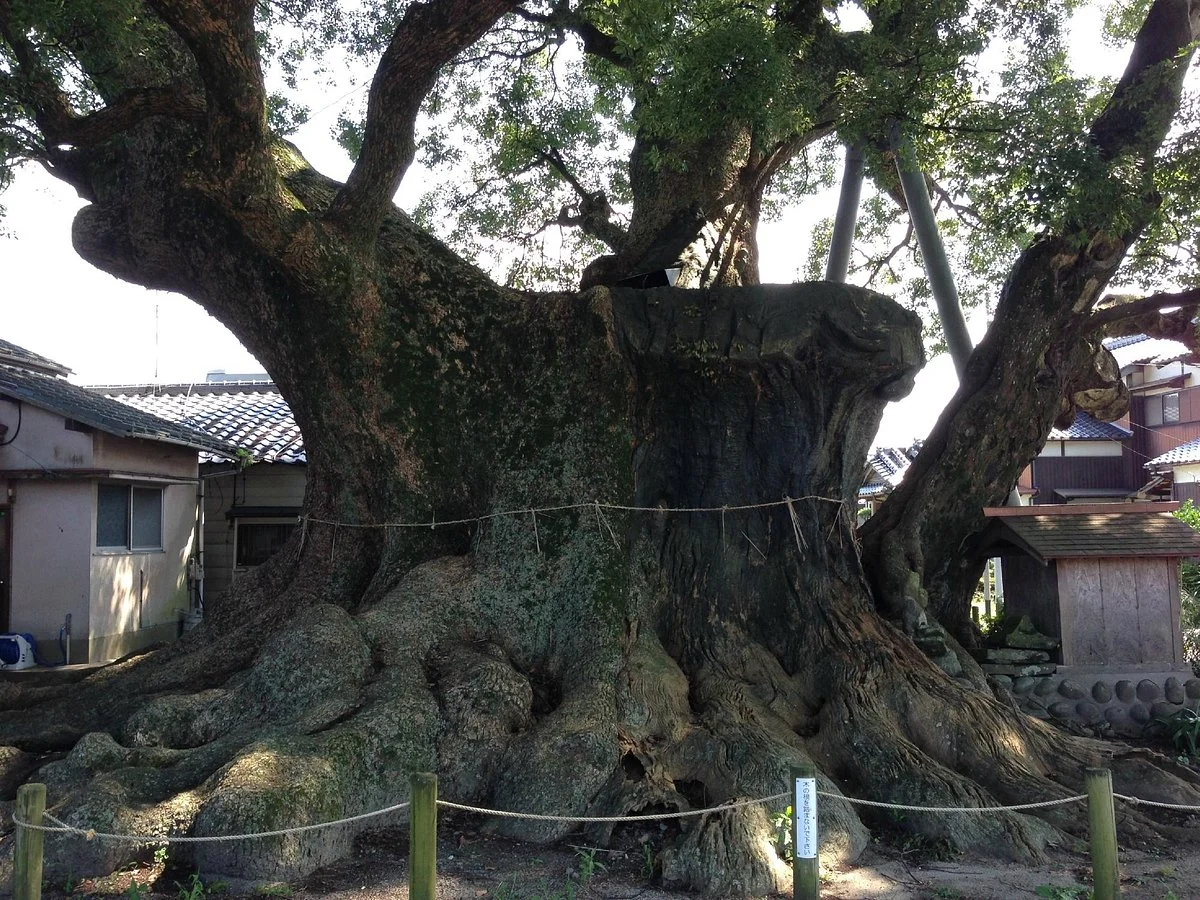 Kakurega no Mori