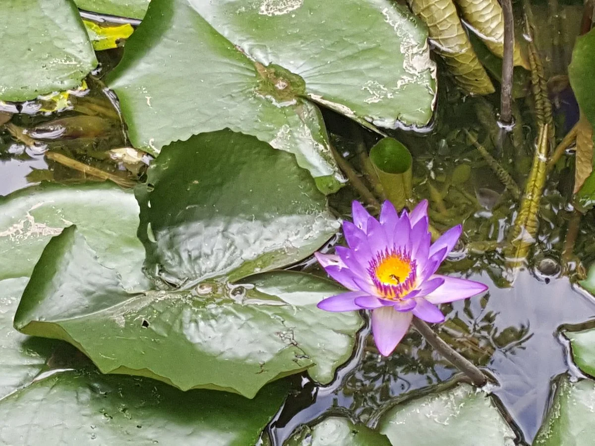 Vu Quang National Park