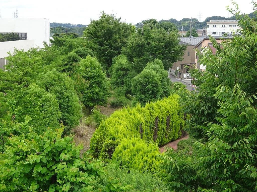 Kitagawara Park