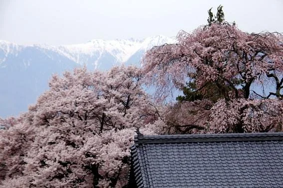 Zoutakuji Temple