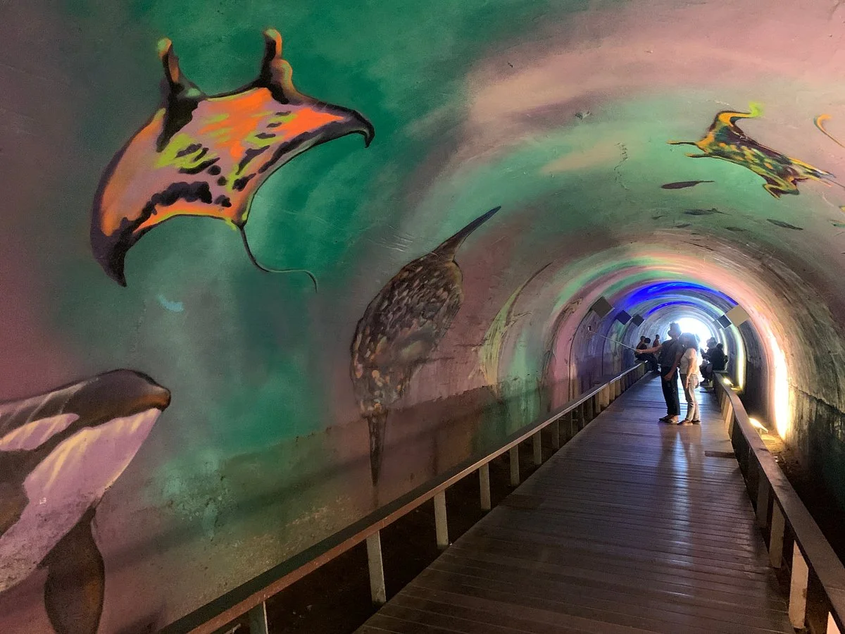 Qijin Xingkong Tunnel