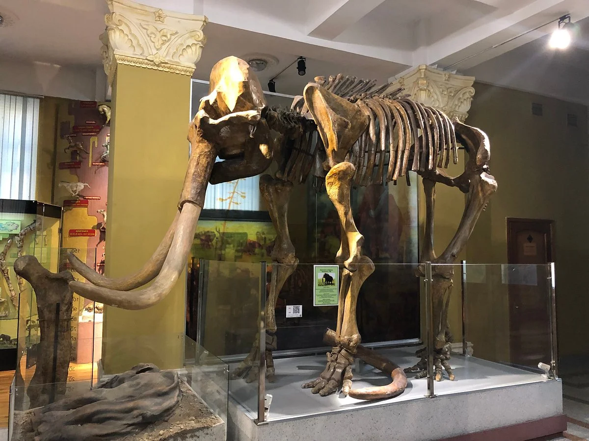 Archeology Museum