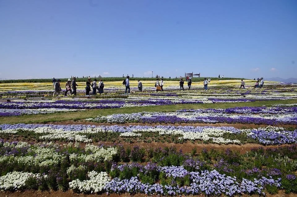 Shinshu Sky Park