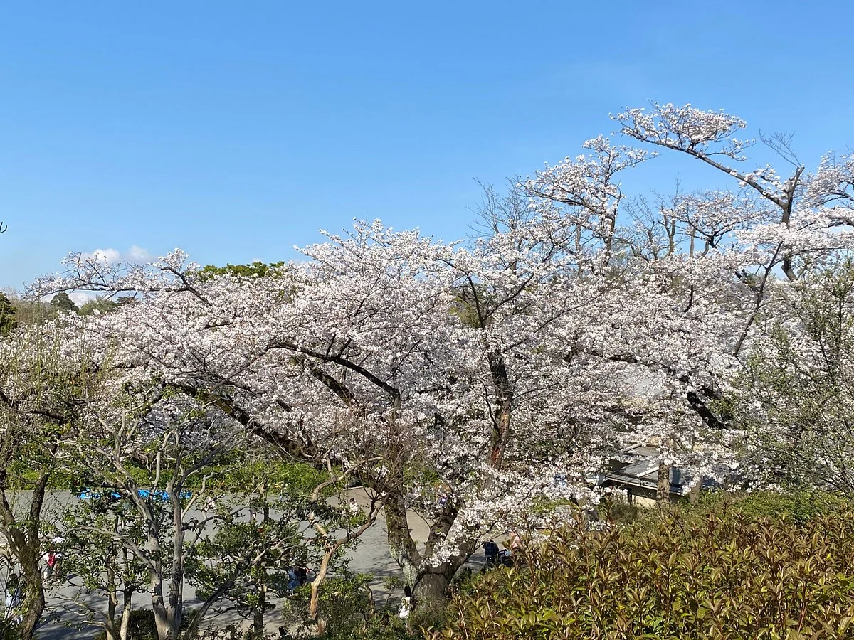 Mitsuzawa Park