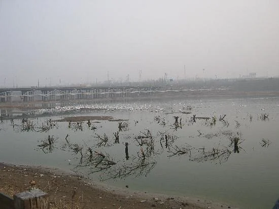 Sanmenxia Swan Viewing Area