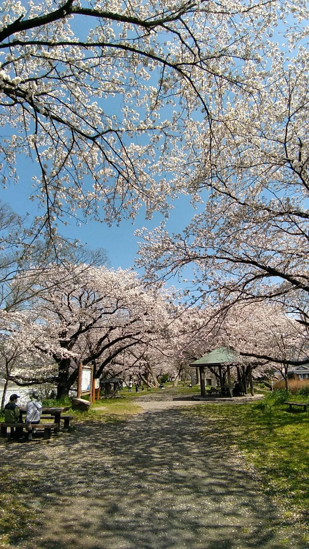 Okuchi Hiroba