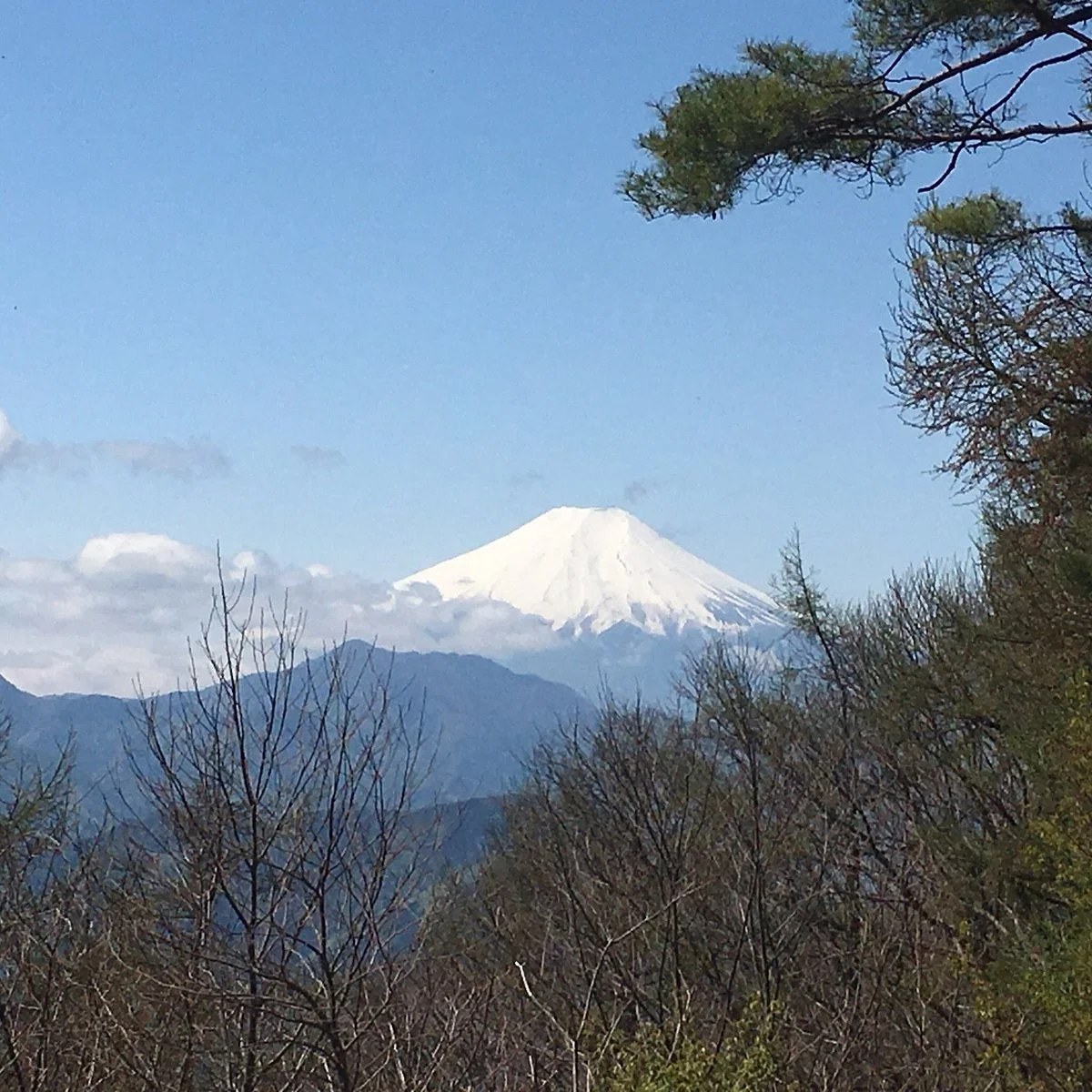 Mount Ogi